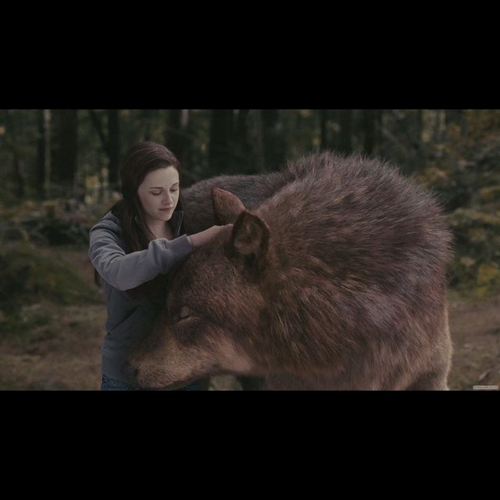 Bella Swan TNA Maverick Jacket